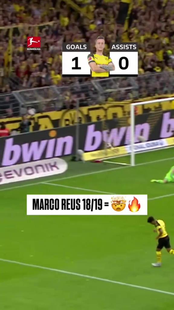 回憶殺！羅伊斯18/19賽季德甲快速回顧！精彩的一個賽季！